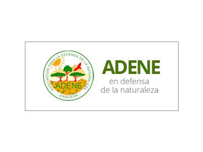 Adene