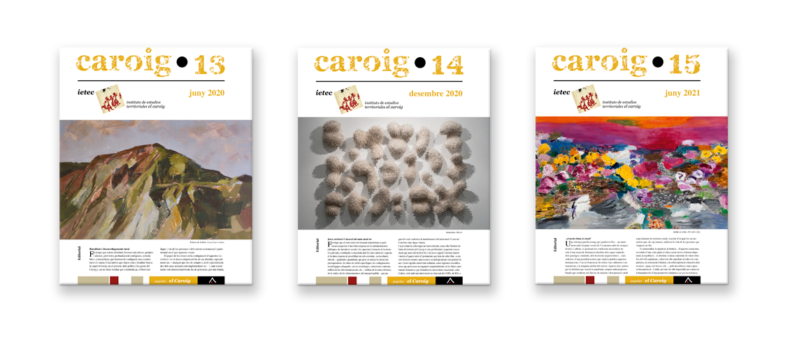 Revista Caroig 131415