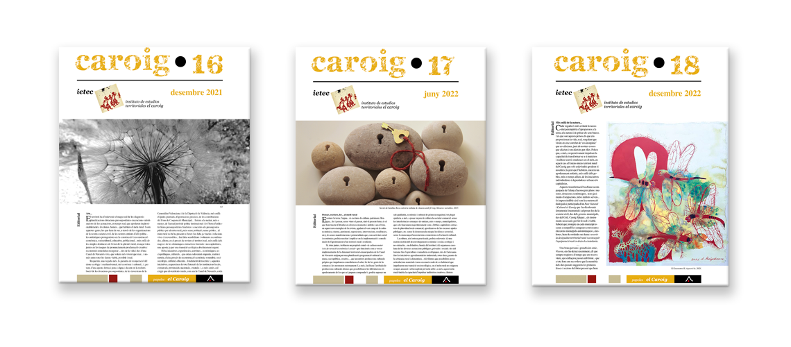 Revista Caroig 161718