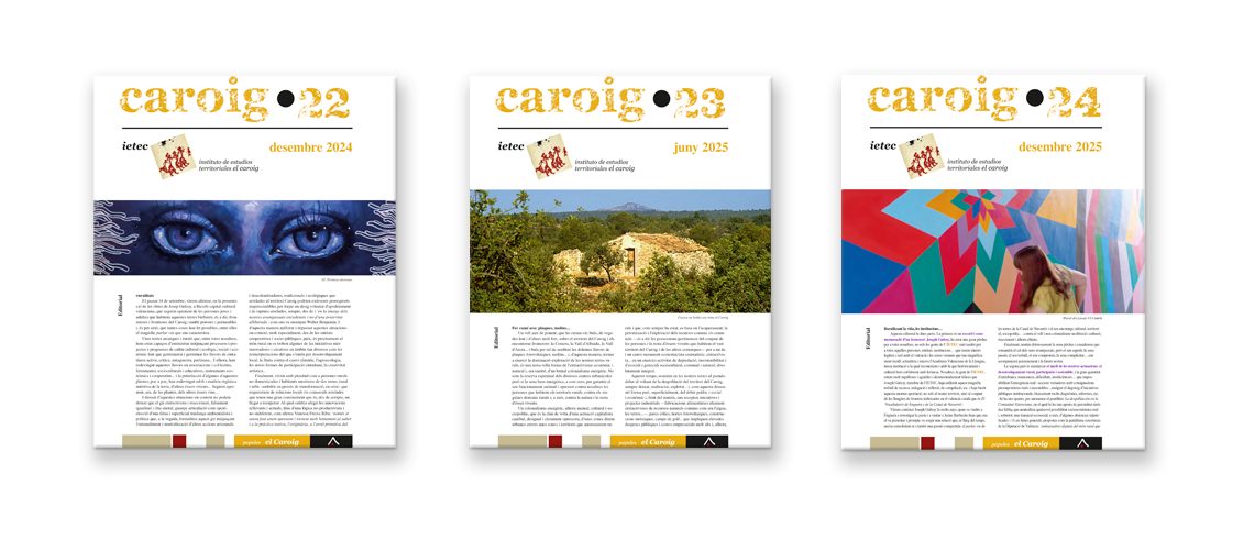 Revista Caroig 222324