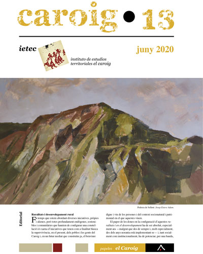 Revista Caroig 13