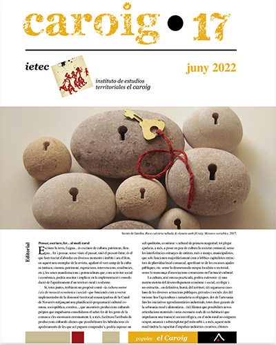Revista Caroig 17