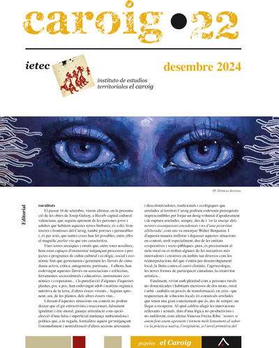 Revista Caroig 22